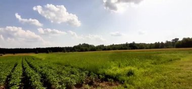 Tatlı Bayrak Çalı Kanalizasyon arıtma tesisinin yakınında dalgalanıyor