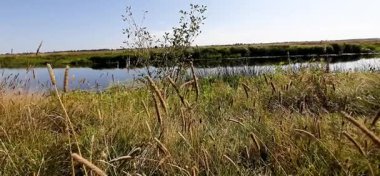 Tatlı Bayrak Çalı Kanalizasyon arıtma tesisinin yakınında dalgalanıyor