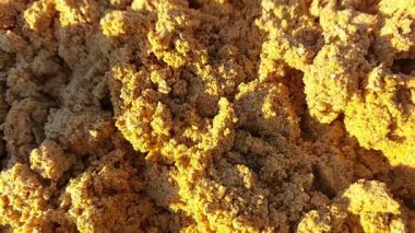 Bir Yakın Çekim Ayarında Tahıl Ozanı İsrafı Gözlemleniyor