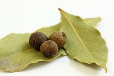 defne yaprağı ve yenibahar