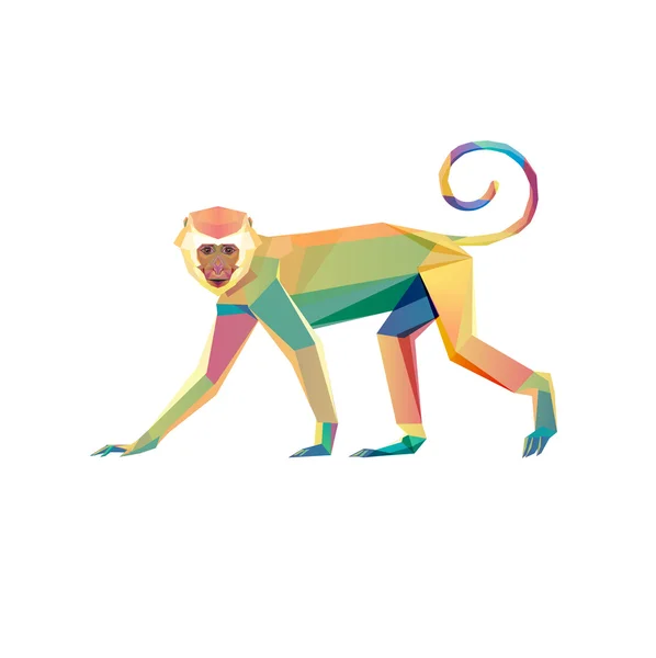 새로운 상징, 2016,"원숭이" — 스톡 사진