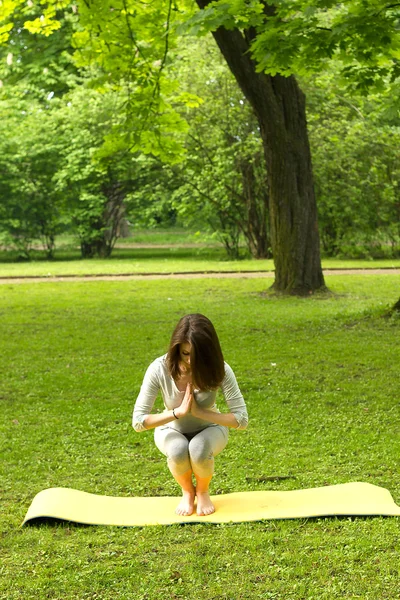 Chica practica yoga en la naturaleza . —  Fotos de Stock