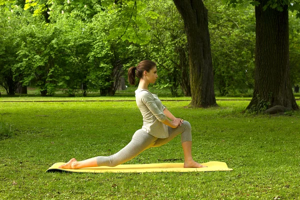 Chica practica yoga en la naturaleza . —  Fotos de Stock