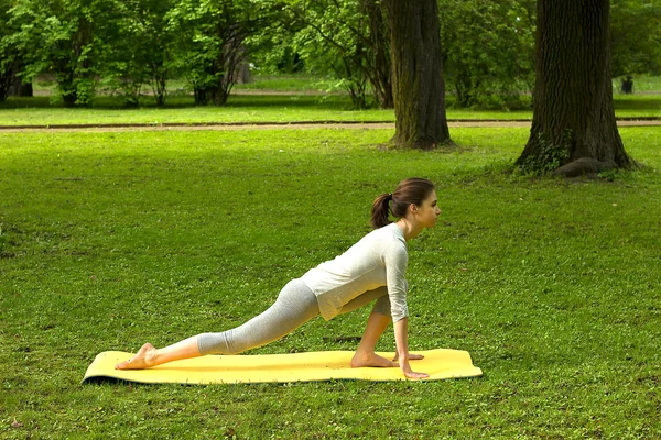 Chica practica yoga en la naturaleza . —  Fotos de Stock