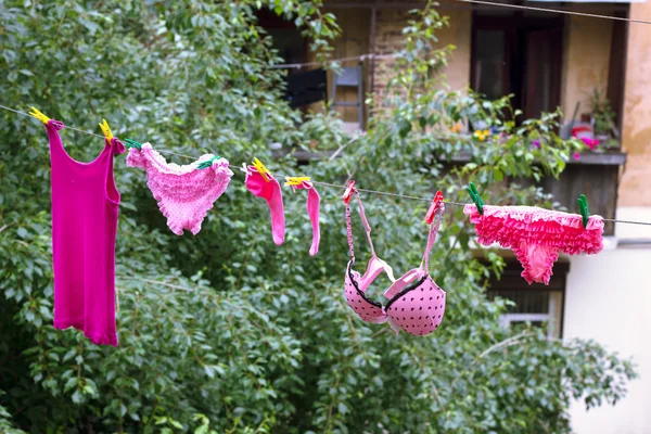 Pakaian dalam merah muda wanita mengering . — Stok Foto