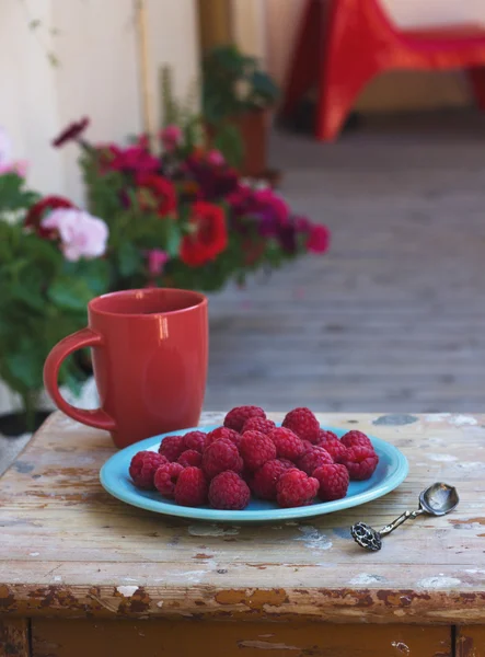 Frambuesas en un plato con una taza de café en la terraza —  Fotos de Stock