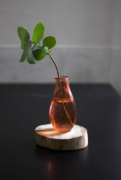 Eucalyptus branch on a bottle Wooden stand on a black background Stock Picture