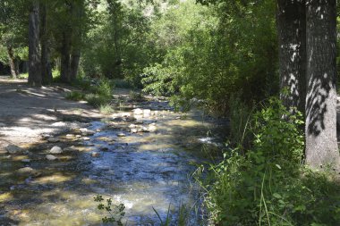 bir dağ nehir
