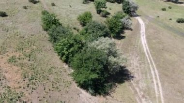 Ukrayna 'nın Mykhailivka köyü. Dnipro nehrinin manzarası.