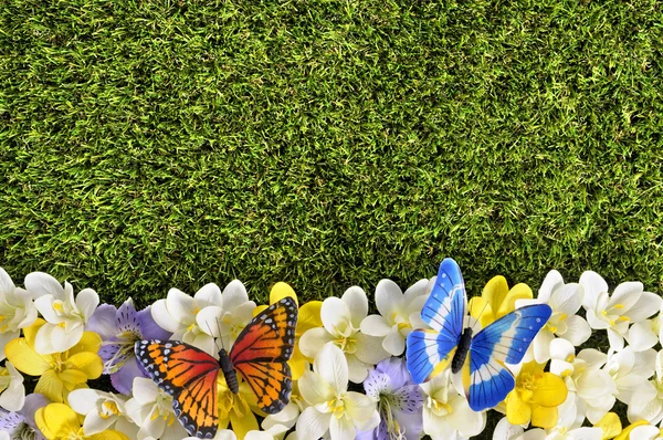 Spring flower border background with butterflies, grass copy spa