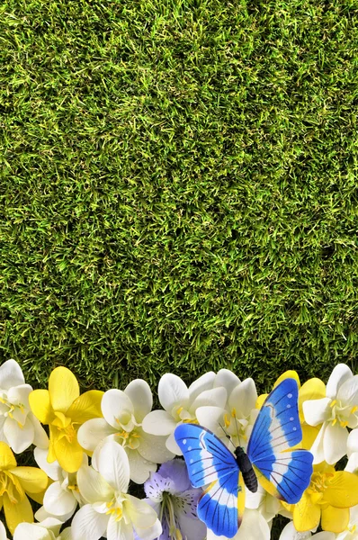 Bahar çiçek sınır arka plan kelebek, çim kopya alanı ile