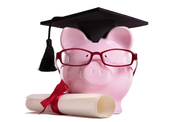 Student college graduate Piggy Bank degree diploma isolated on w — Stock Photo, Image