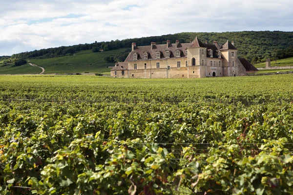 Vineyard chateau Borgonha, França — Fotografia de Stock