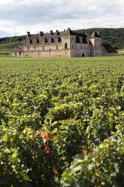 Виноградник chateau Бургундії, Франції — стокове фото