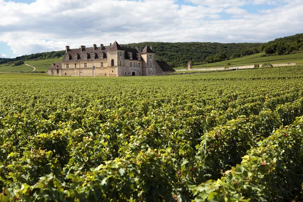 Виноградник chateau Бургундії, Франції — стокове фото
