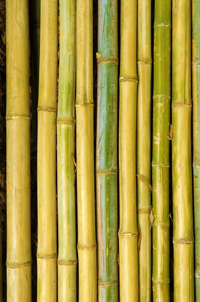 Palos de bambú viejo fondo vertical —  Fotos de Stock