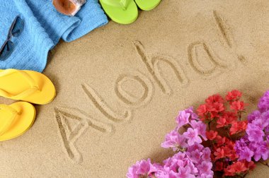 Hawaiian beach background clipart