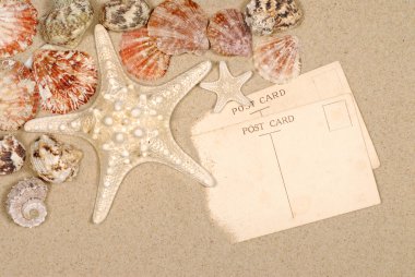 Deniz kıyısı arka plan kartpostal ve deniz yıldızı