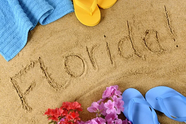 Floida beach background — Stock Photo, Image