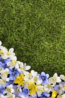 Arka plan bahar ya da yaz kenar