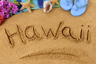 Hawaii beach yazma