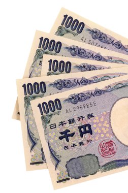 Japon yeni para birimi faturaları 