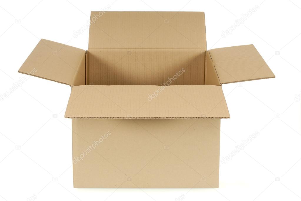 Plain cardboard box