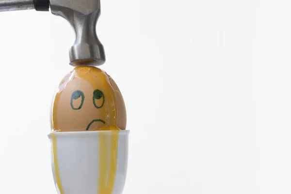 Unfortunate Egg 2! — Stock Photo, Image