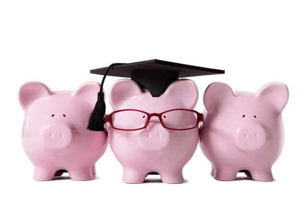 Graduate Piggy Banks — Stock Photo, Image