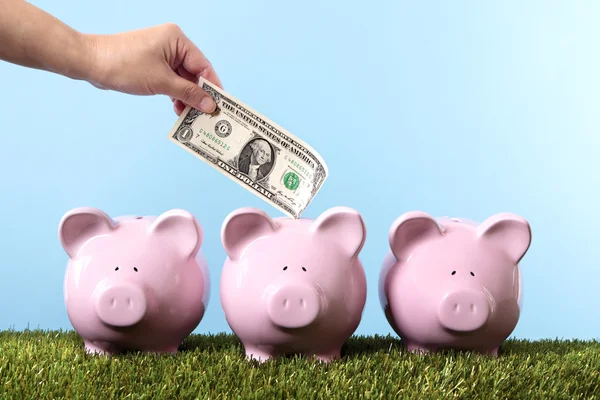Piggy bank oszczędności — Zdjęcie stockowe