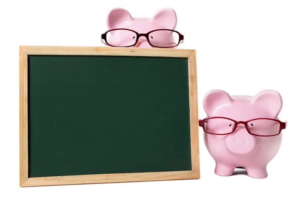 Piggy banks with blank blackboard — Stock Photo, Image