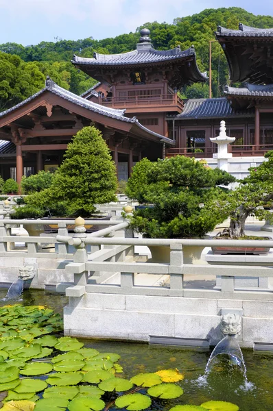 Chi Lin Budist tapınağı Hong Kong