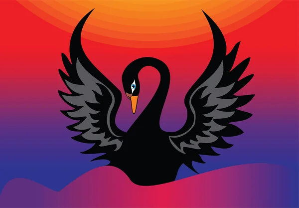 Black swan — Stock Vector