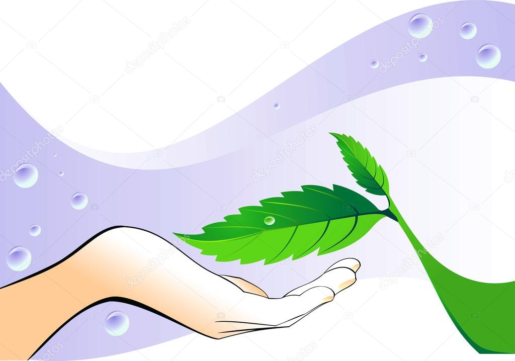 Hand with a green leaf