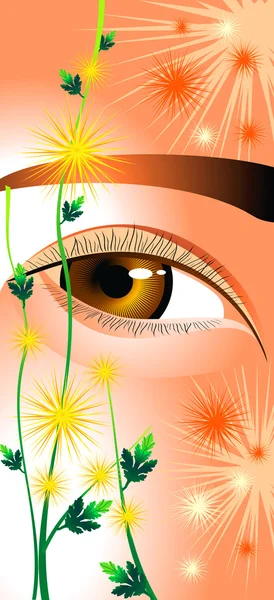 Eyes as chrysanthemums — Stock Vector