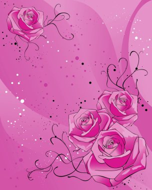 arka plan ile pembe güller