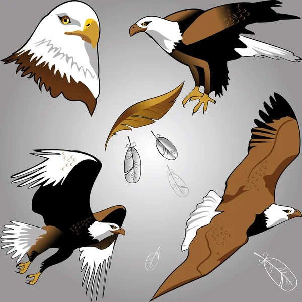 Águilas — Archivo Imágenes Vectoriales