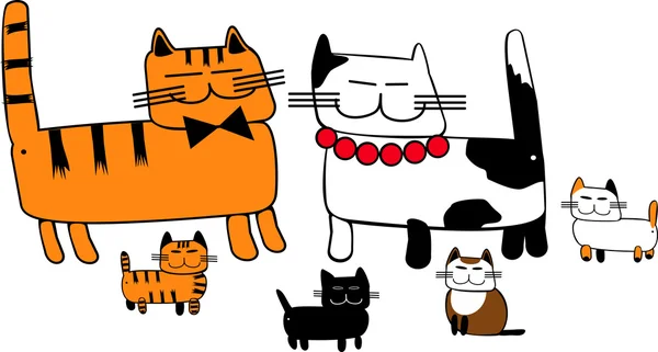 kedi ailesi