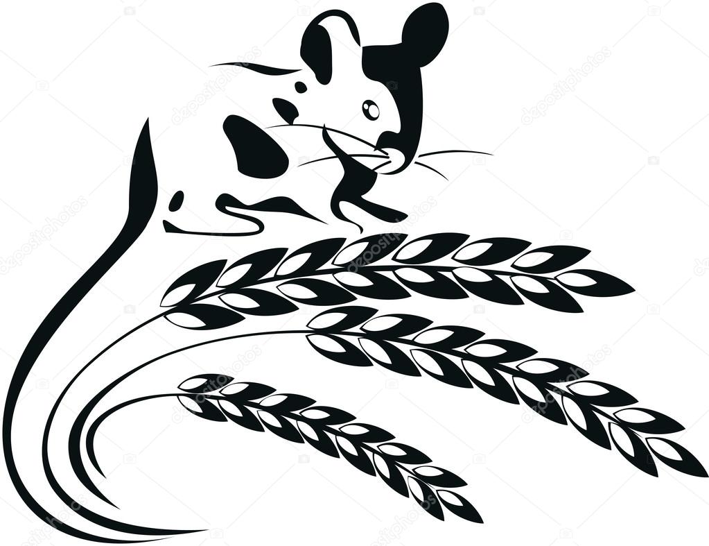 Vector illustration of a mouse and wheat spikelets