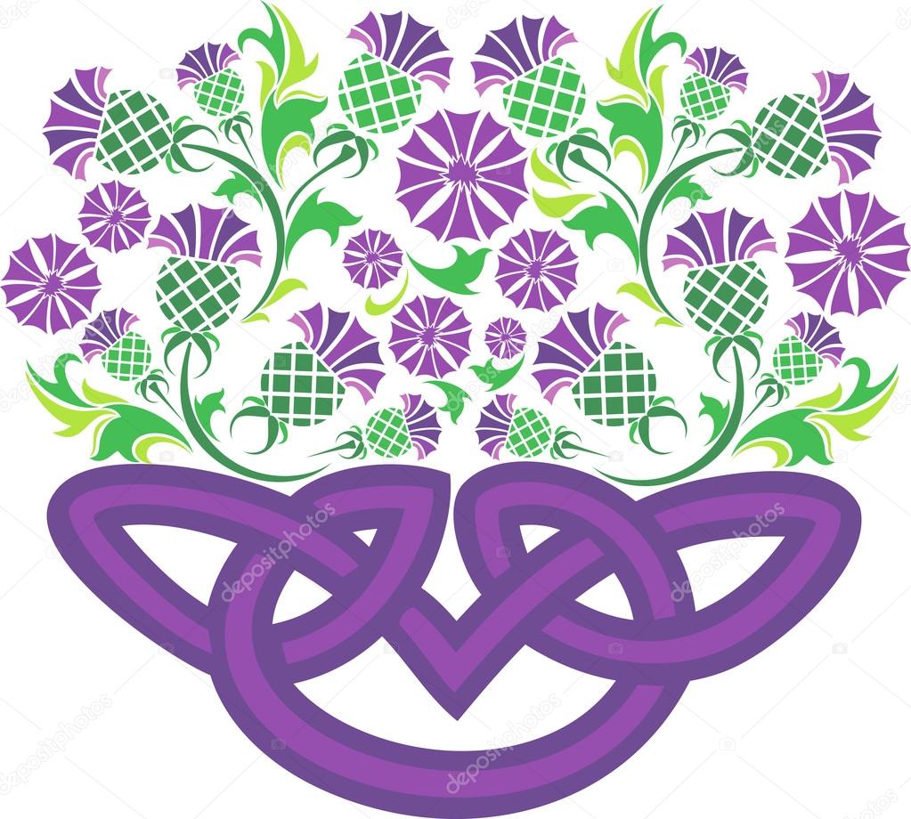 Celtic knot in the form of a basket with flowers thistle