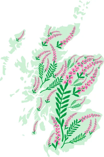 Vektör görüntü İskoçya Haritası heather çiçekli
