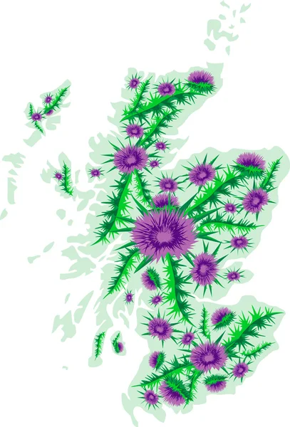 Vector image map of Scotland with thistle flowers — Stock Vector