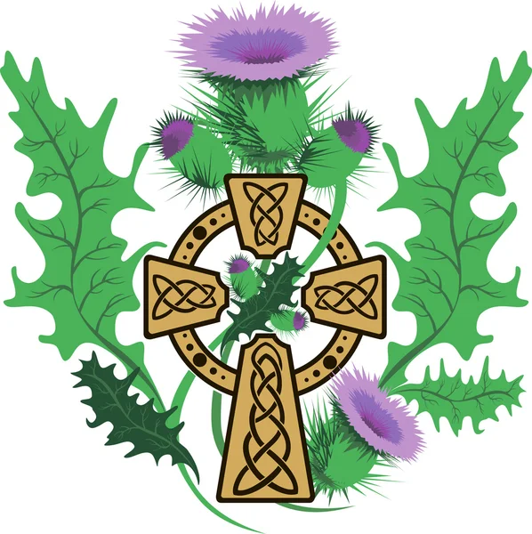 Stylizované Celtic cross rámem květy bodláku — Stockový vektor