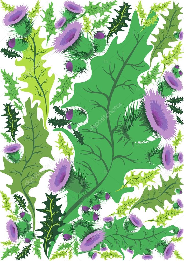 Beautiful decorative border of flowers thistle