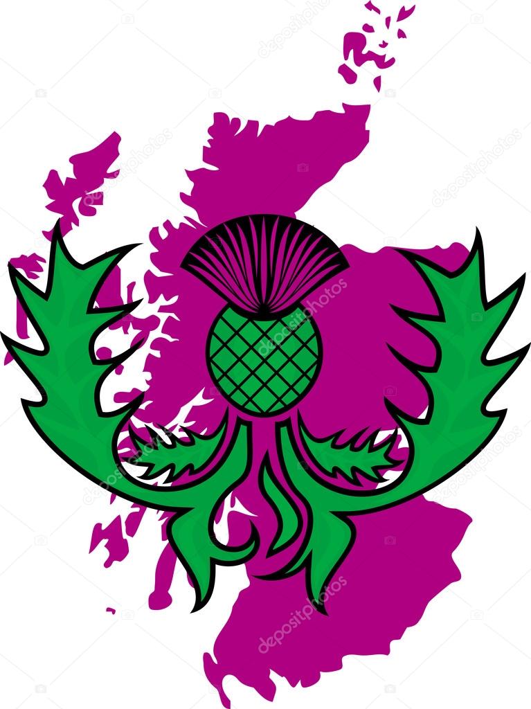 flower of the thistle on a background map of Scotland