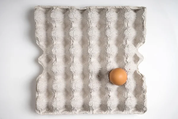kağıt tepsisi üzerinde bir taze yumurta
