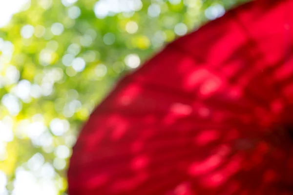 Red Umbrella outdoor and green leaf — Stock Photo, Image