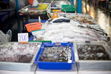 taze deniz ürünleri pazarı mağazası