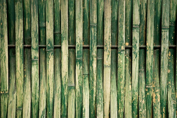 Green dry bamboo — Stock Photo, Image