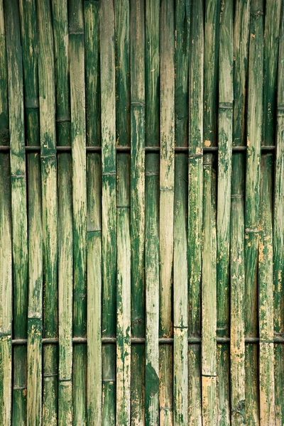 Grön torra bambu — Stockfoto